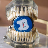 Lilac Paper heavy duty badge reel for dental professionals placed inside teeth, dental model.